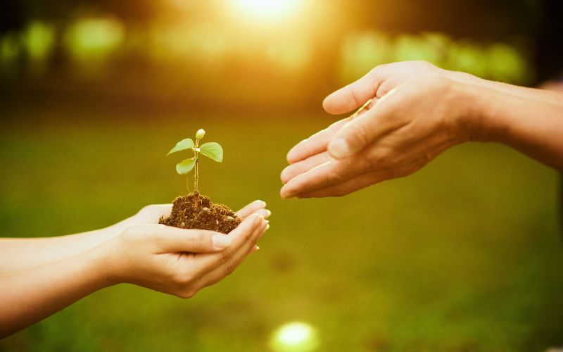 支えたいから頑張れる｜INFJの葛藤と成長、そして“伝える”という仕事